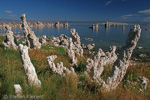 Mono Lake, California, Kalifornien, USA